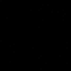 Meet your Posher, Tarlia